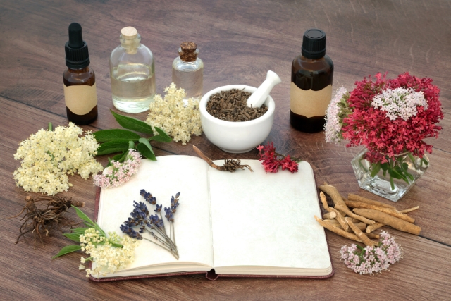 Bilan complet de naturopathie pour une meilleure vitalité et hygiène de vie avec Alicia Asse à Mouans-Sartoux 06
